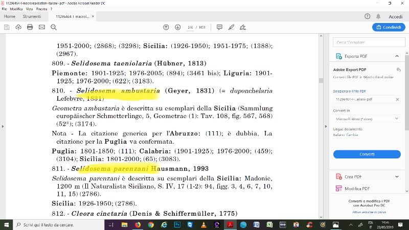 Aiuto identificazione (lepidottero simile a corteccia)